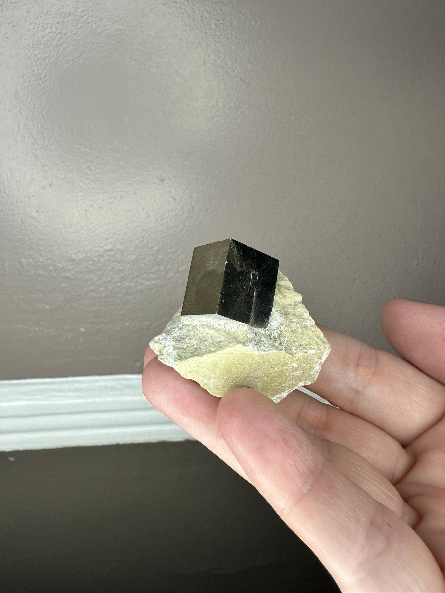 Cubic pyrite on matrix - D