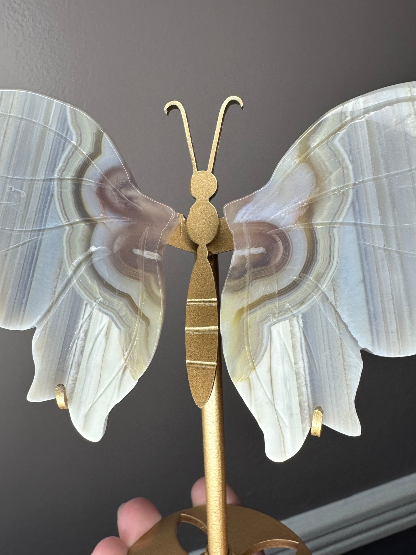 Banded Agate Amethyst Butterfly Crystal Wings on a Display Stand