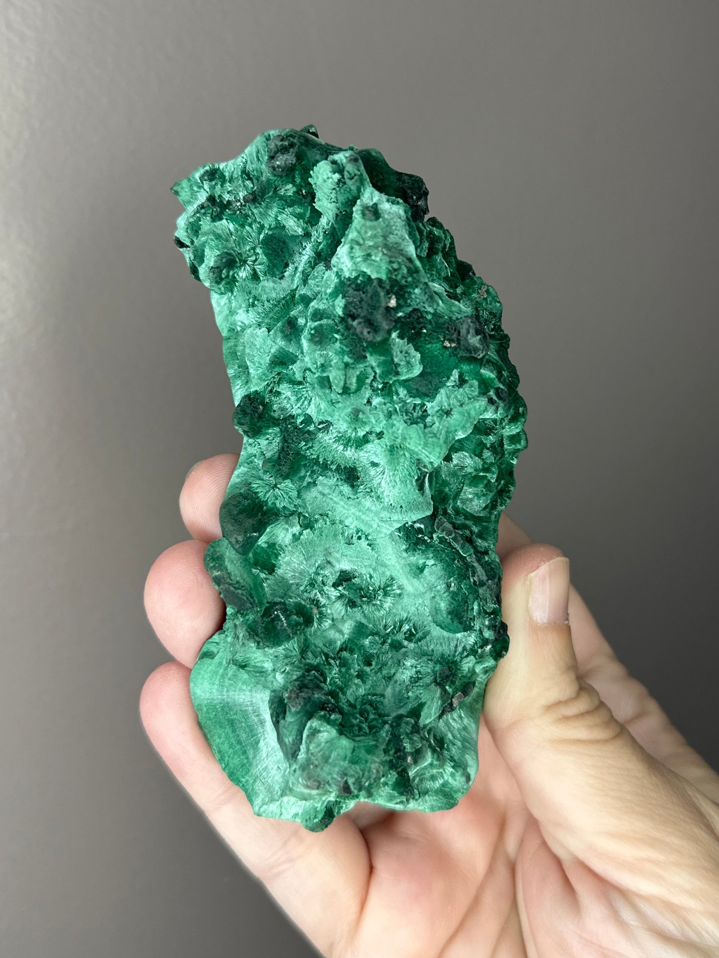Velvet Botryoidal Malachite with Banding ( D )