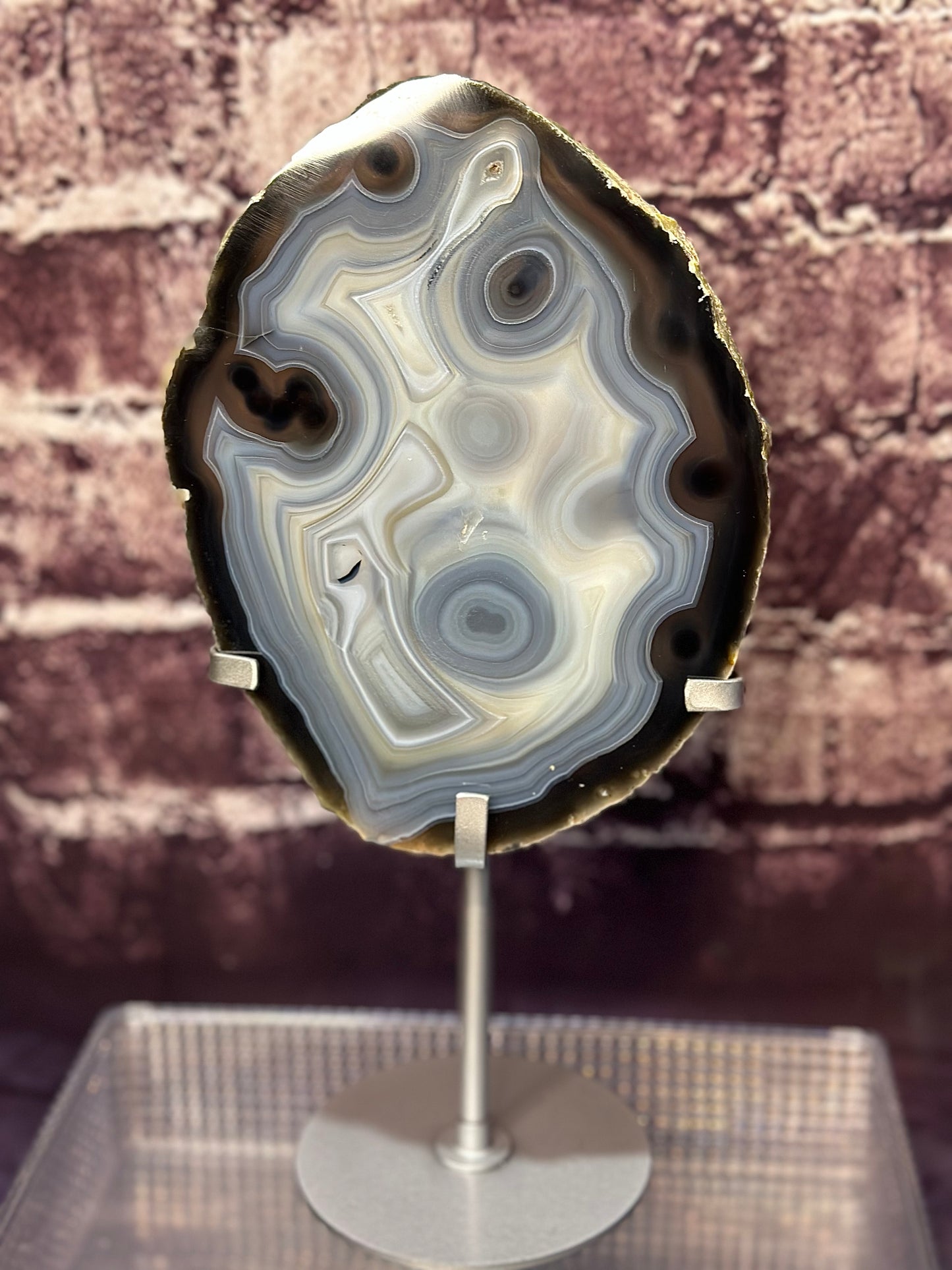 XL High Quality Black Orbicular Banded Agate UV Reactive Slab on Custom Display Stand ( Rare Find )