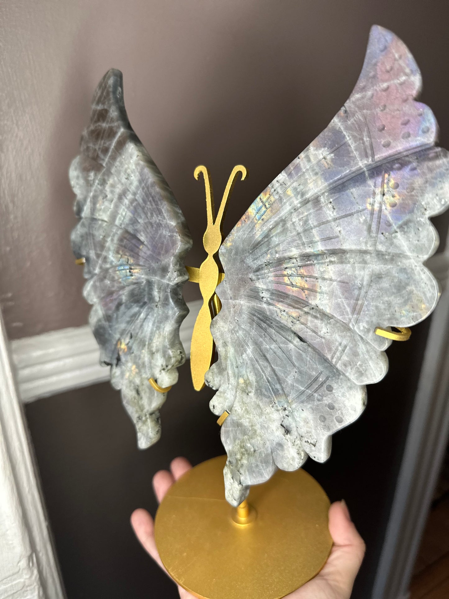 Big Labradorite Butterfly Wing Set On Golden Display Stand