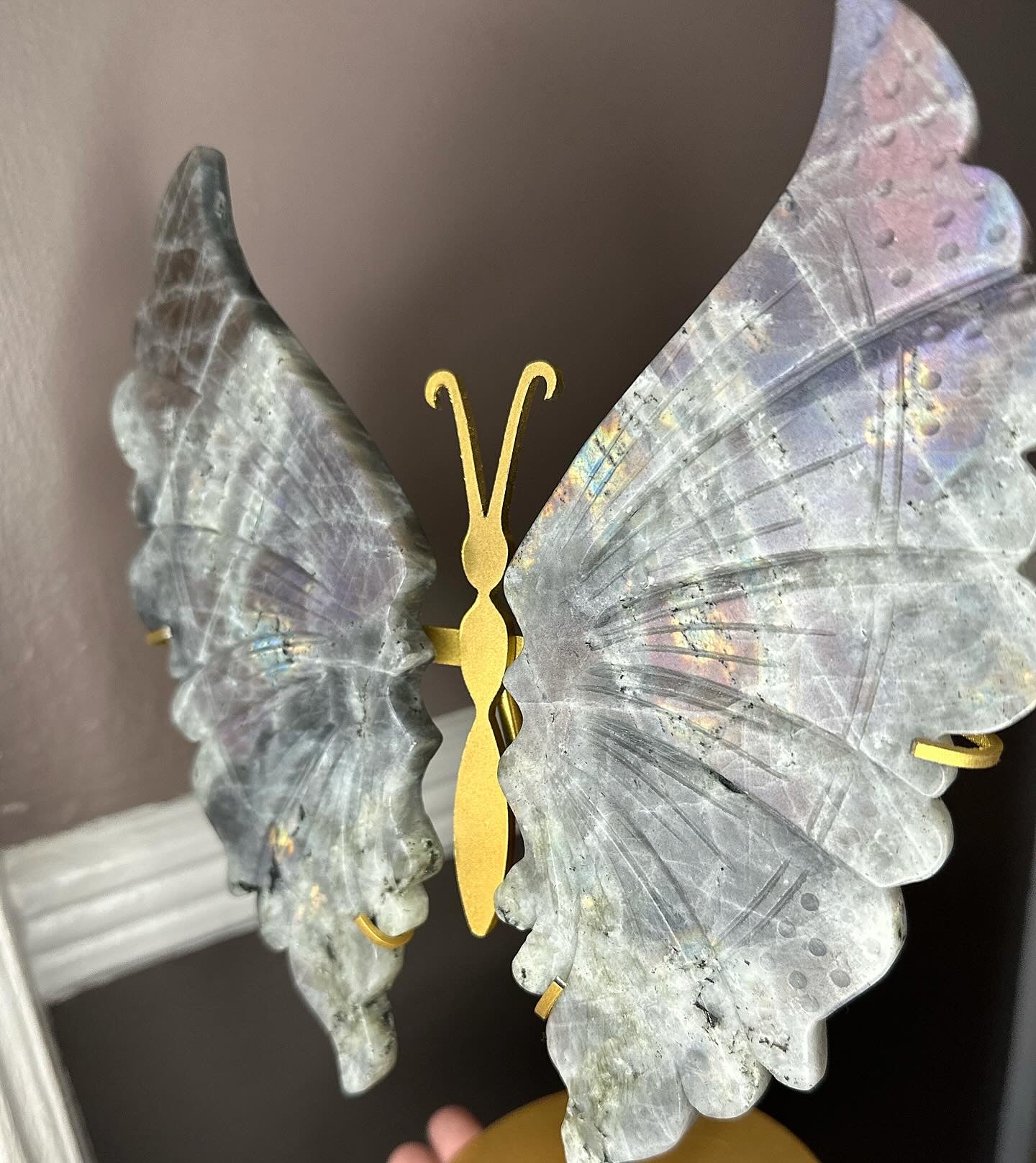 Big Labradorite Butterfly Wing Set On Golden Display Stand