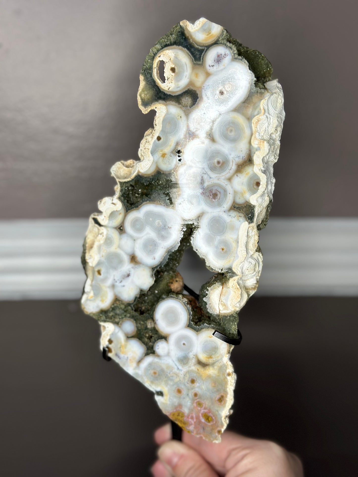 XL 8th VEIN JASPER SLAB ON A CUSTOM DISPLAY STAND ( RARE FIND )