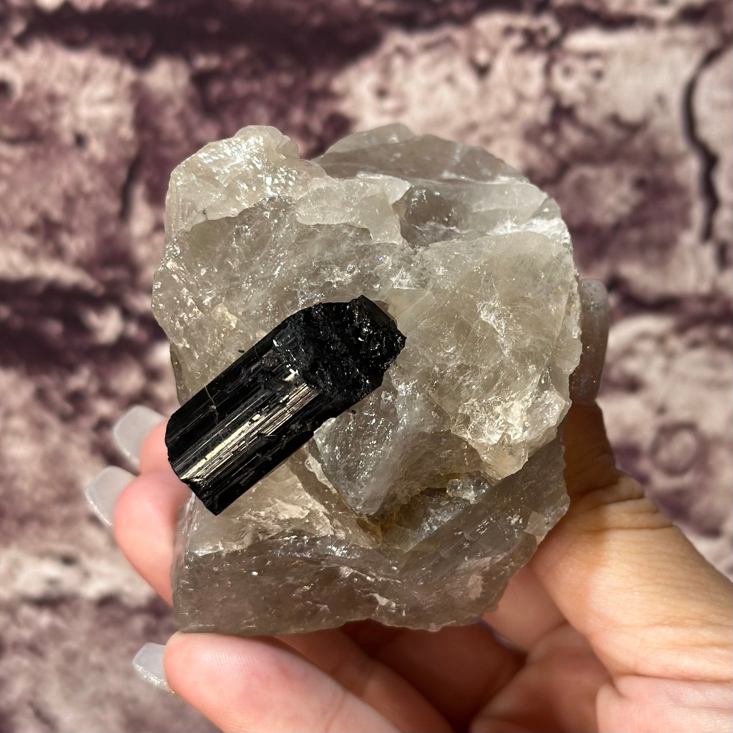 Tourmaline in Quartz (25)