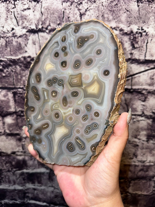 XL High Quality Orbicular Scenic Moss Slab Rare Find ( Comes with free custom stand )