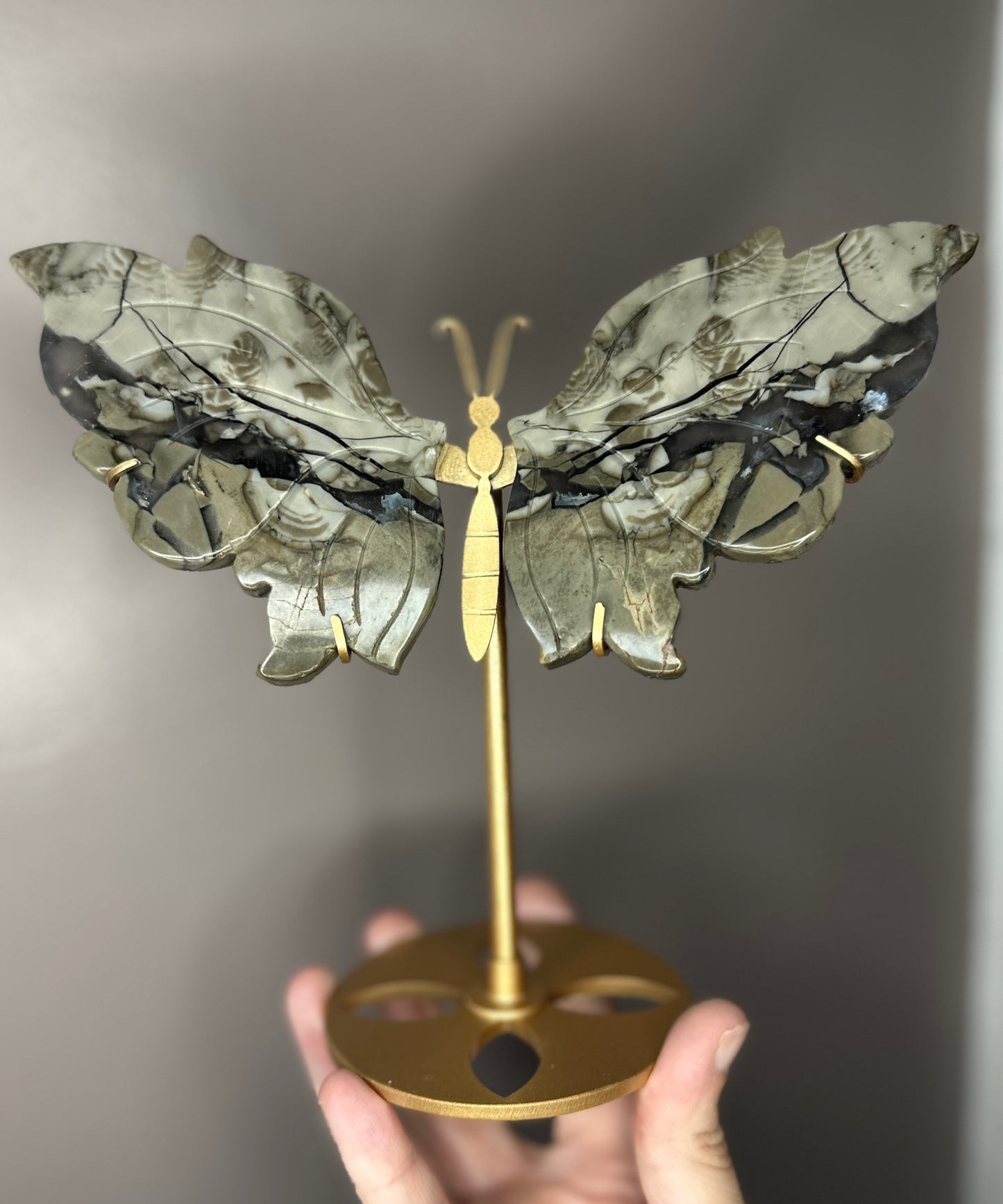 Volcano Agate Butterfly Crystal Wings on a Display Stand