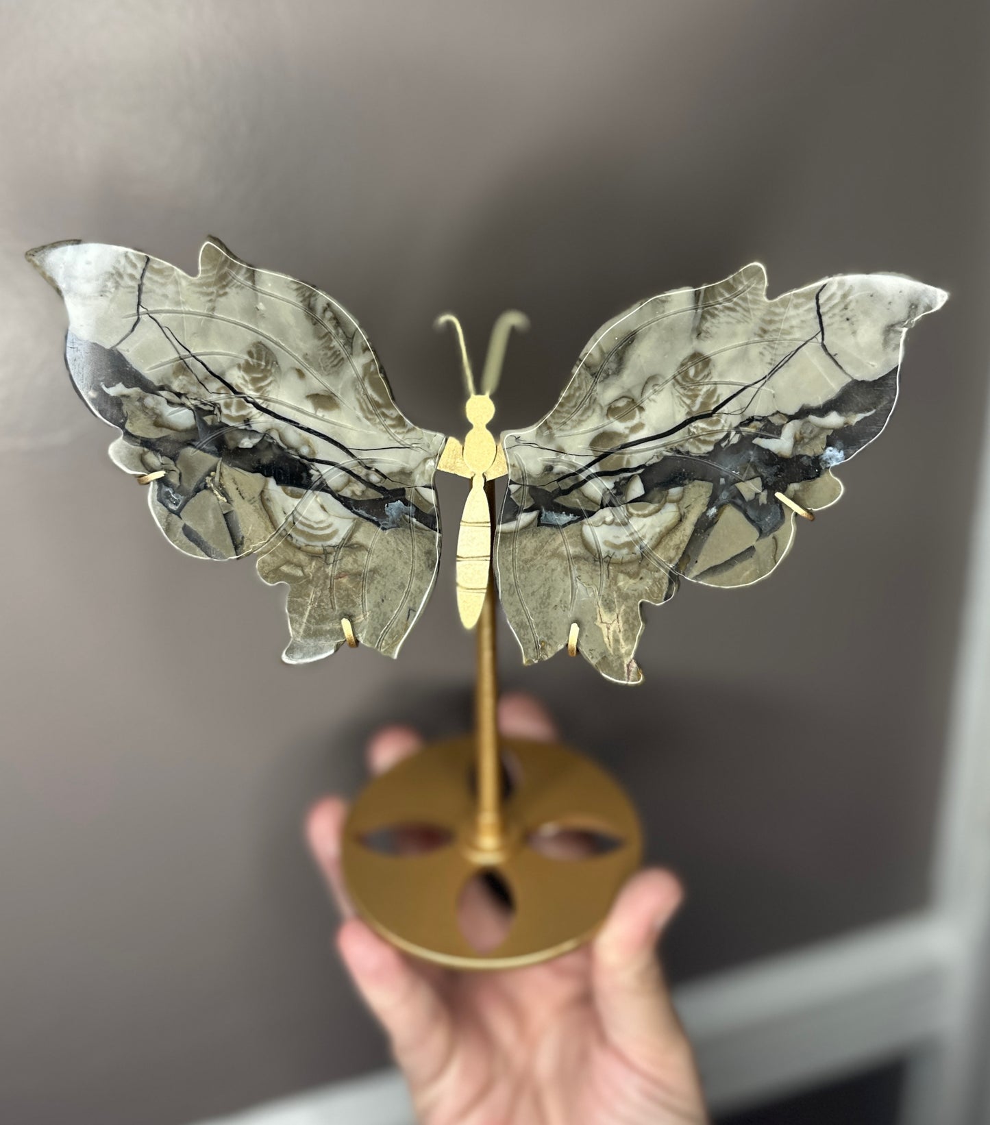 Volcano Agate Butterfly Crystal Wings on a Display Stand
