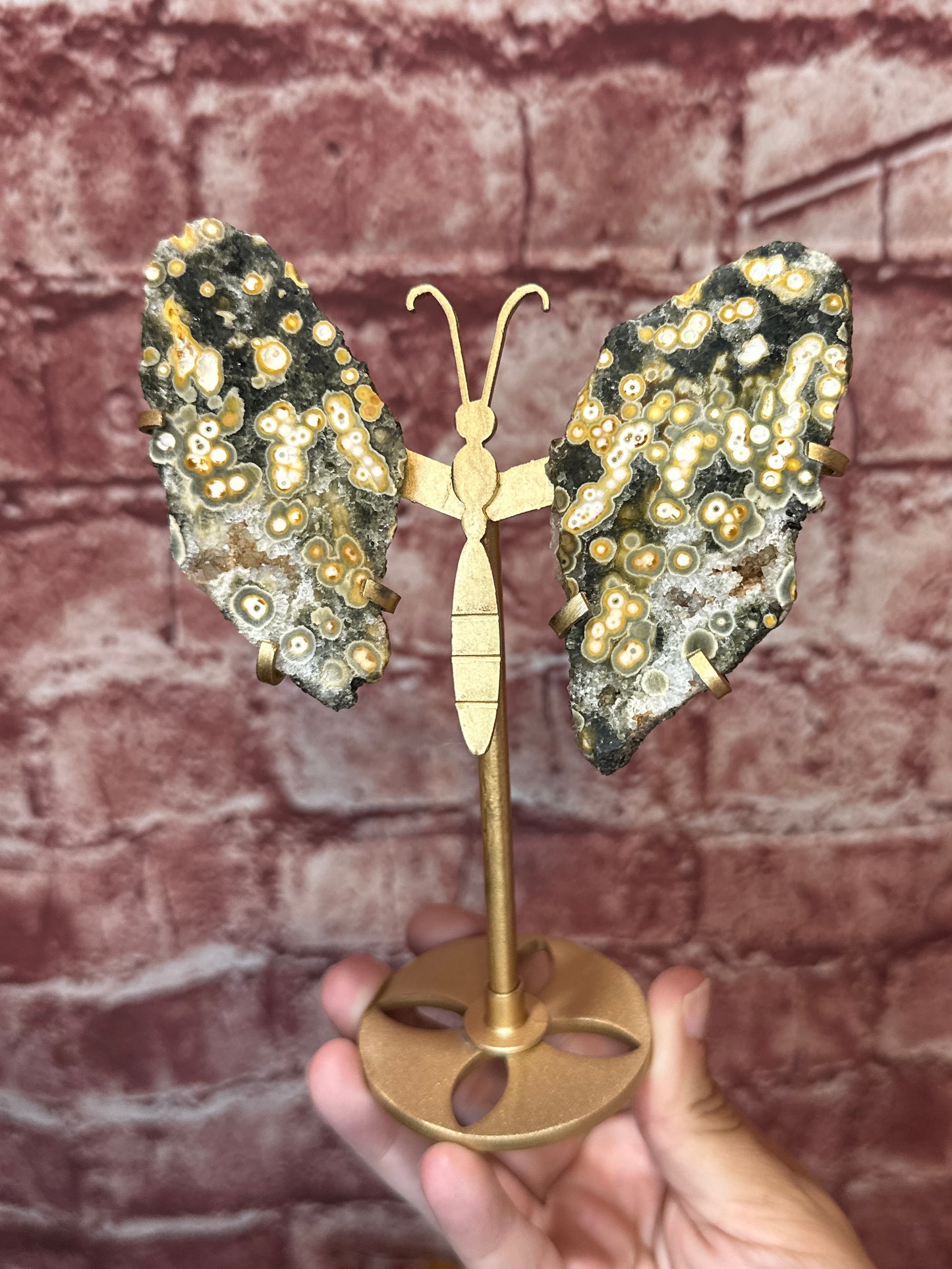 8th Vein / Orbicular Ocean Jasper Crystal Butterfly Wing Set