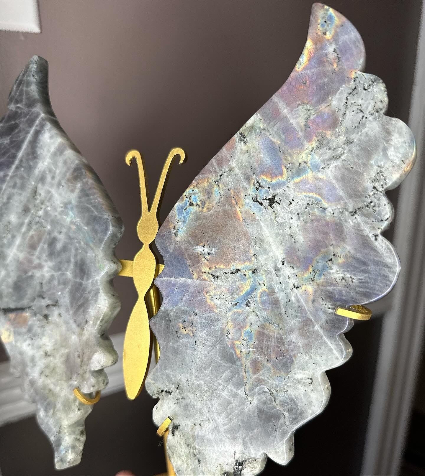 Big Labradorite Butterfly Wing Set On Golden Display Stand