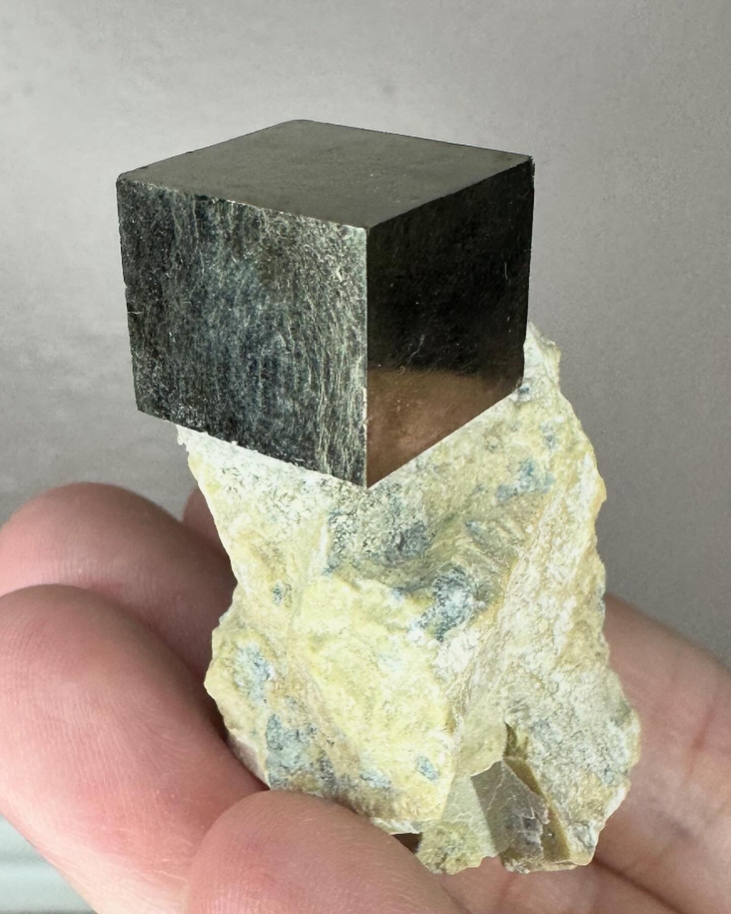 Cubic pyrite on matrix - D