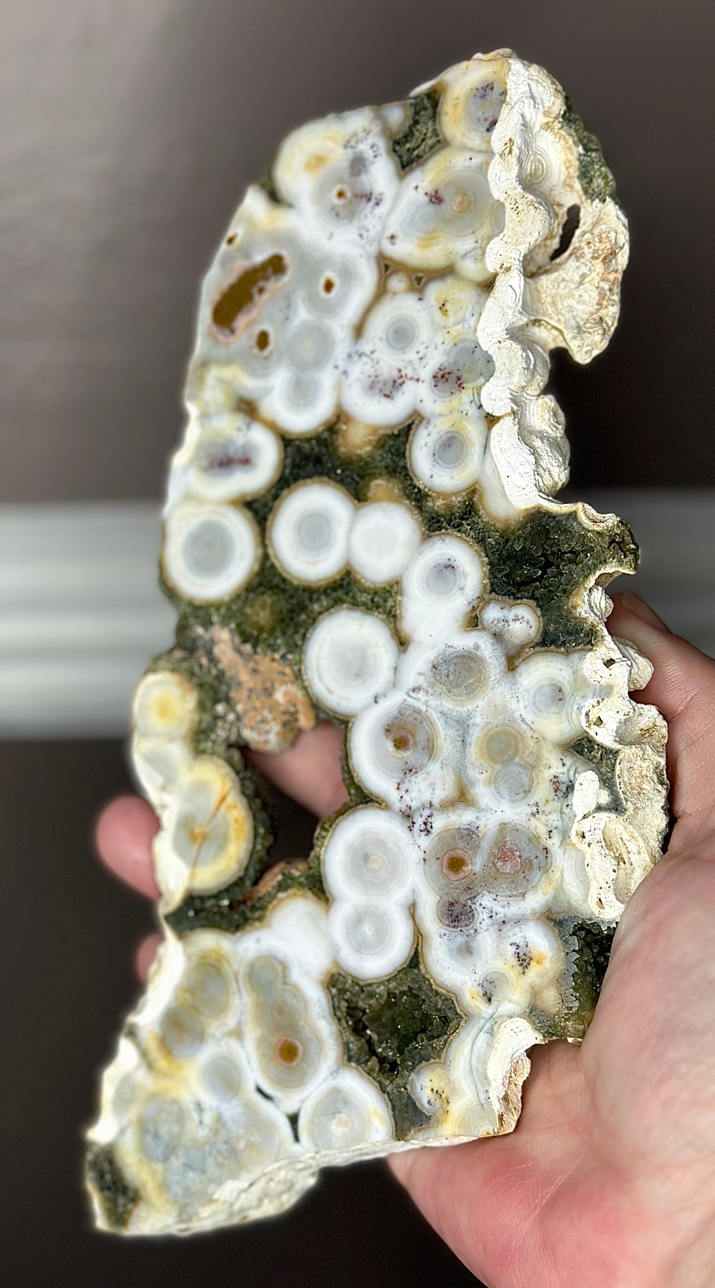 XL 8th VEIN JASPER SLAB ON A CUSTOM DISPLAY STAND ( RARE FIND )