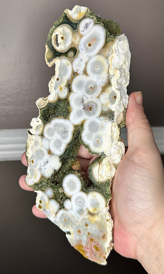 XL 8th VEIN JASPER SLAB ON A CUSTOM DISPLAY STAND ( RARE FIND )