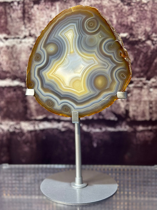 Carnelian Orbicular Agate XL Slab on customized display stand