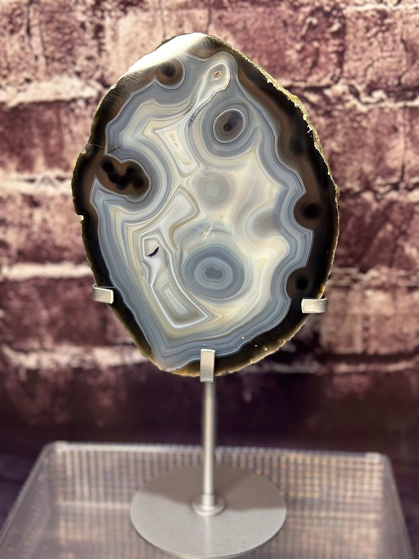 XL Black Orbicular Agate UV Reactive Slab on Custom Display Stand ( Rare Find )